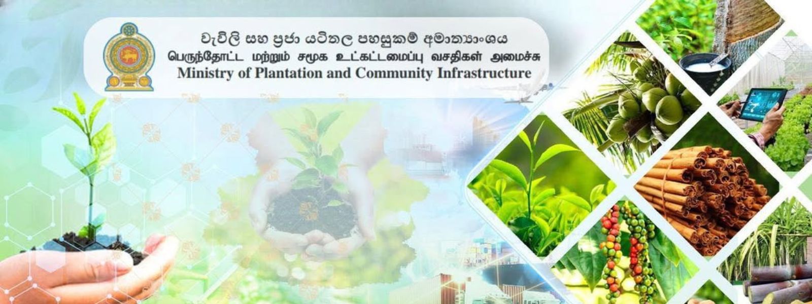 Fertilizer Subsidy for Coconut Growers